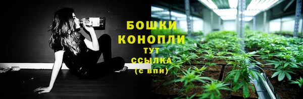 ПСИЛОЦИБИНОВЫЕ ГРИБЫ Ладушкин
