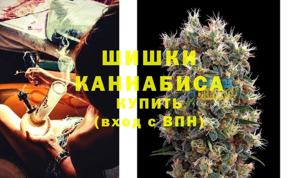 ПСИЛОЦИБИНОВЫЕ ГРИБЫ Ладушкин