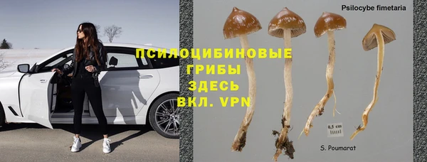 MESCALINE Лабытнанги