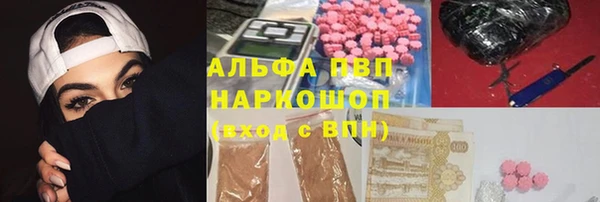 ПСИЛОЦИБИНОВЫЕ ГРИБЫ Ладушкин