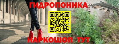ПСИЛОЦИБИНОВЫЕ ГРИБЫ Дубна